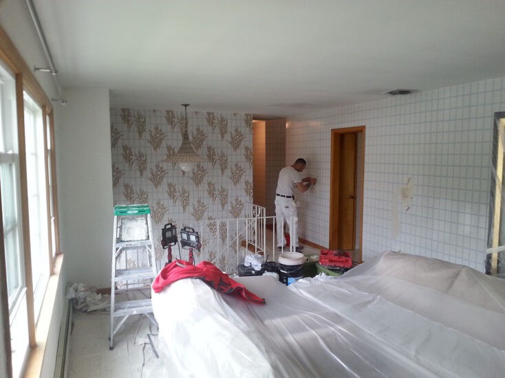 Wallpaper Hanging and Removal