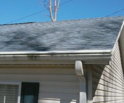 New Jersey Gutter Cleaning and Leak Repair