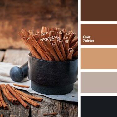 Winter Color Schemes