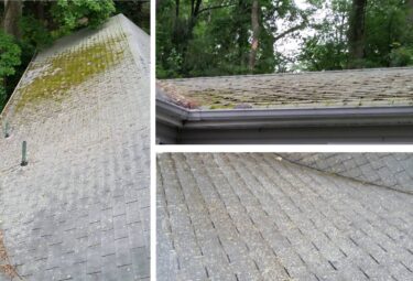 Do you have Mildew or Mold on your Roof? 